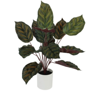 ΣΥΝΘΕΤΙΚΗ ΑΛΟΚΑΣΙΑ