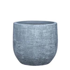 Verdant Garden & More E-Shop - Κασπώ και Γλάστρες