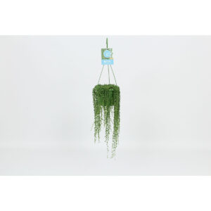 Verdant Garden & More - eShop - Φυτά