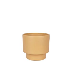 Κεραμικές γλάστρες/κασπώ - Verdant Garden & More - eShop