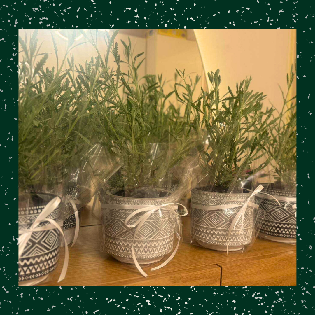 Project 4 - Verdant Garden & More