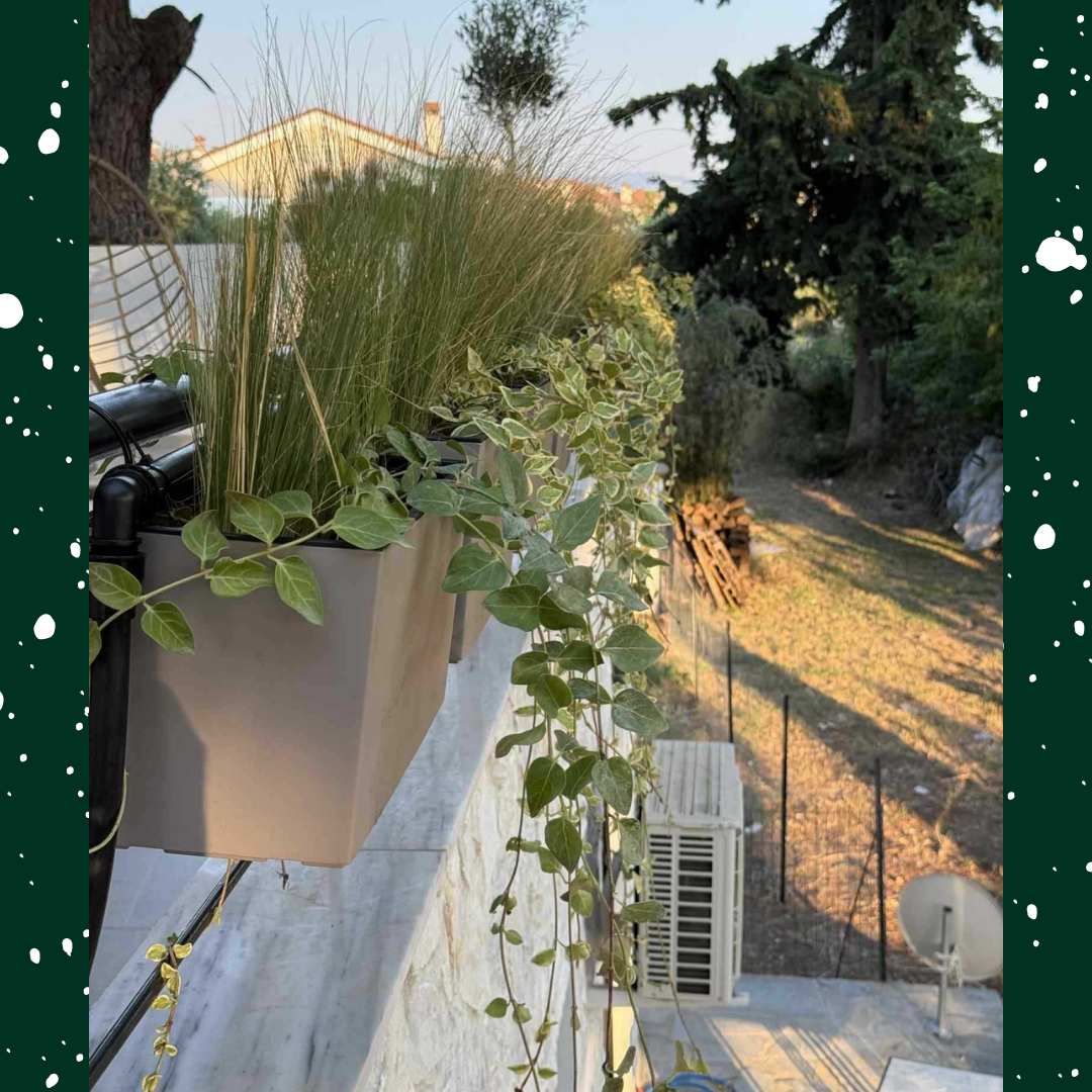 Project 8 - Verdant Garden & More