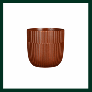 Κεραμικές γλάστρες/κασπώ - Verdant Garden & More - eShop