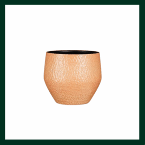 Κεραμικές γλάστρες/κασπώ - Verdant Garden & More - eShop