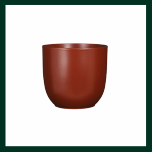 Κεραμικές γλάστρες/κασπώ - Verdant Garden & More - eShop