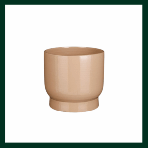 Κεραμικές γλάστρες/κασπώ - Verdant Garden & More - eShop