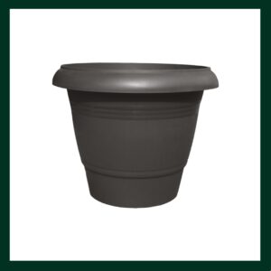 Πλαστικές γλάστρες/κασπώ - Verdant Garden & More - eShop