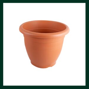 Πλαστικές γλάστρες/κασπώ - Verdant Garden & More - eShop