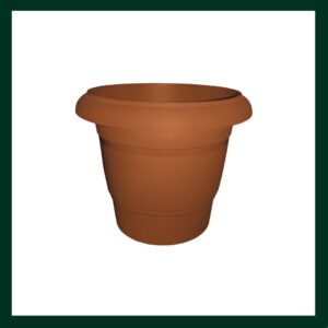 Πλαστικές γλάστρες/κασπώ - Verdant Garden & More - eShop