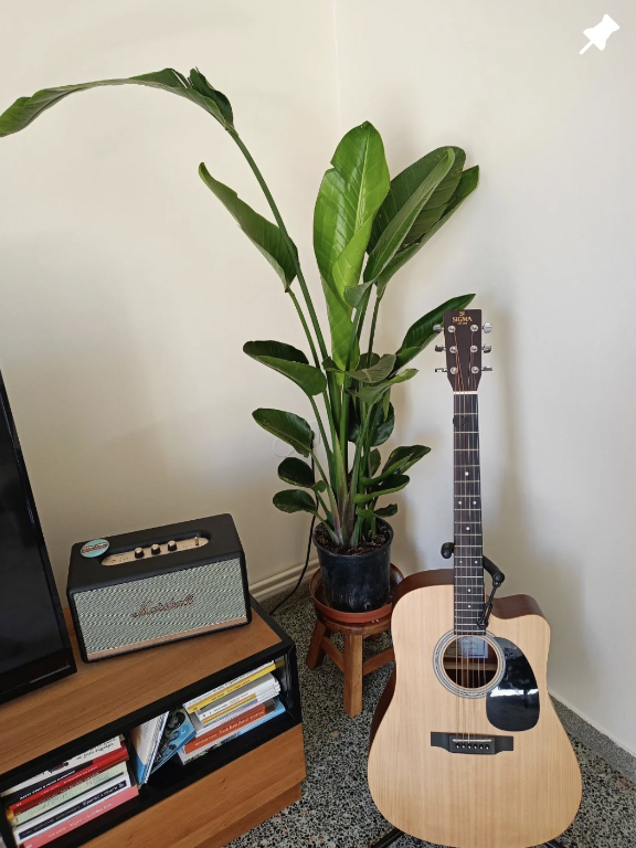 Instagram - Verdant Garden & More - eShop