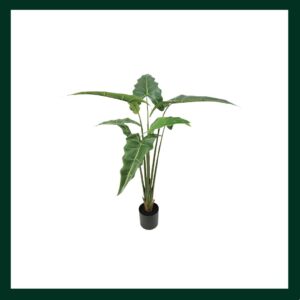 Αλοκασία - Verdant Garden & More - eShop - Τεχνητά Φυτά