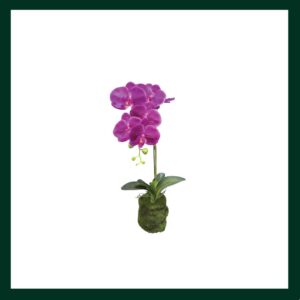 Ορχιδέα - Verdant Garden & More - eShop - Τεχνητά Φυτά