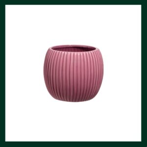 Κεραμικά κασπώ - Verdant Garden & More - eShop