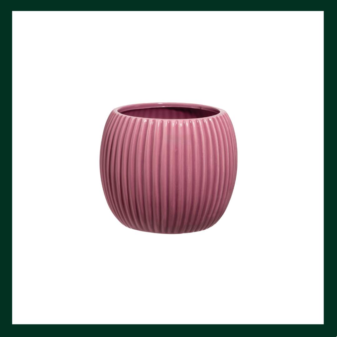 Κεραμικά κασπώ - Verdant Garden & More - eShop