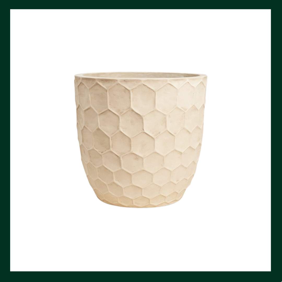 FiberClay γλάστρες / κασπώ - Verdant Garden & More - eShop