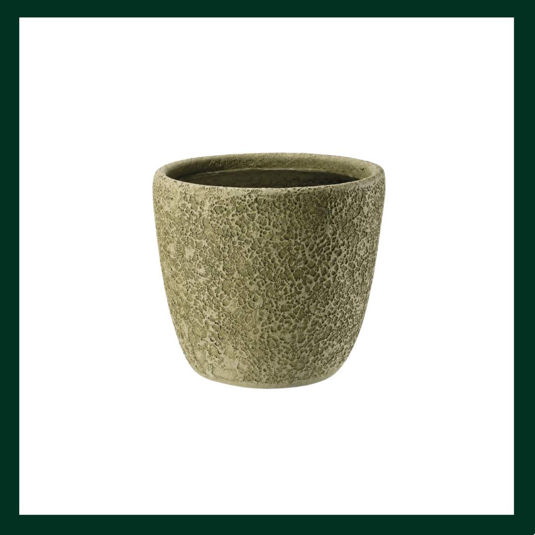 FiberClay γλάστρες / κασπώ - Verdant Garden & More - eShop