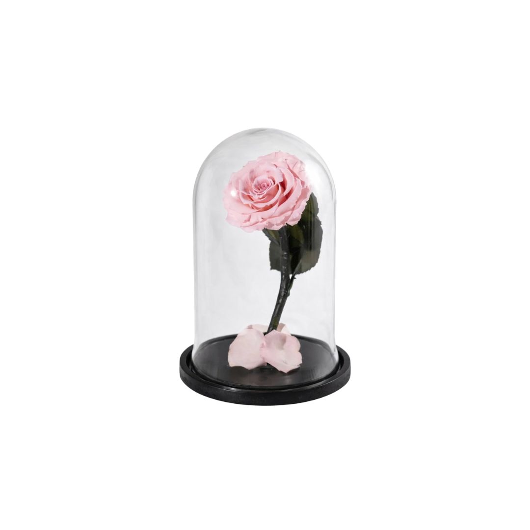 Forever roses δώρα - Verdant Garden & More - eShop