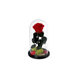 Forever roses δώρα - Verdant Garden & More - eShop
