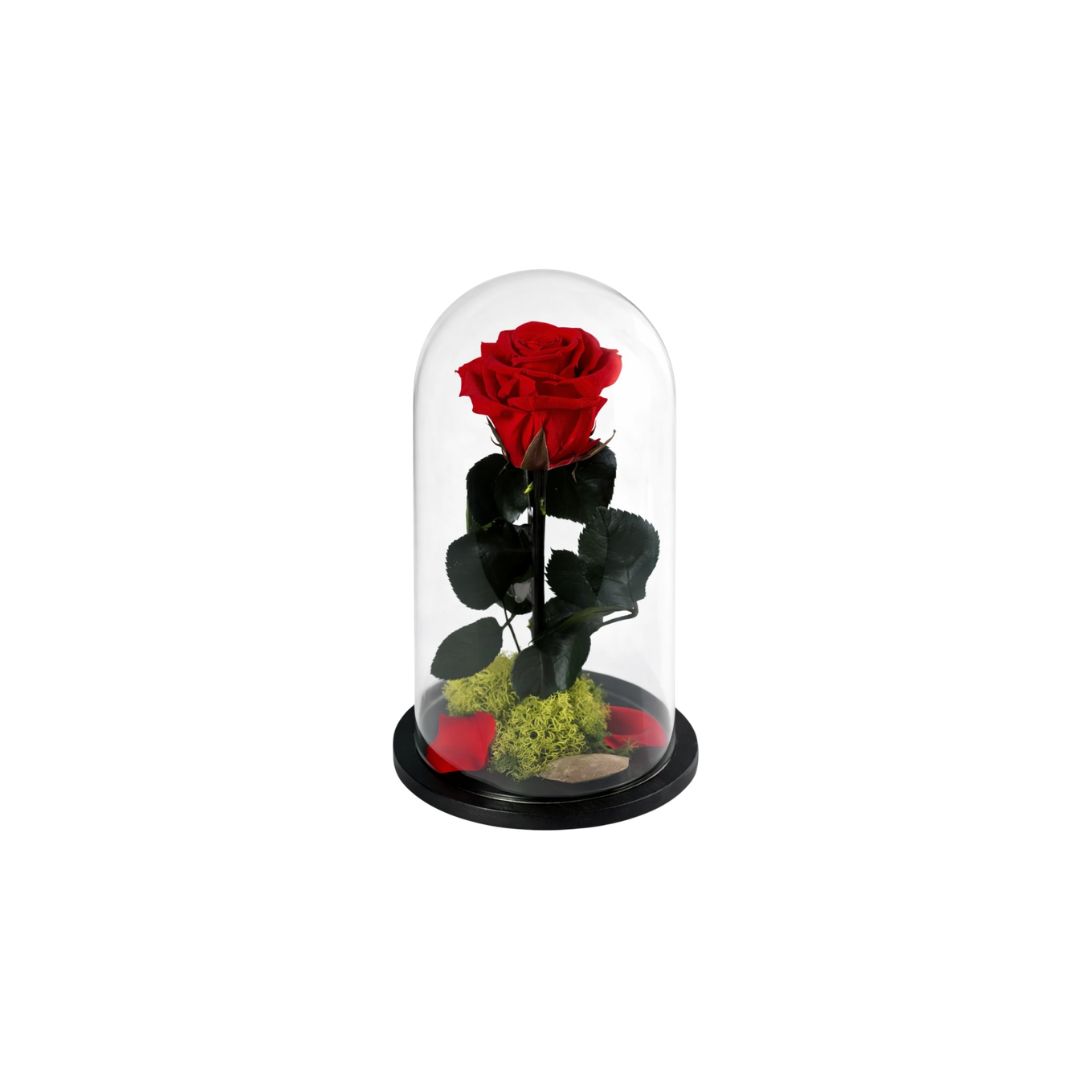 Forever roses δώρα - Verdant Garden & More - eShop