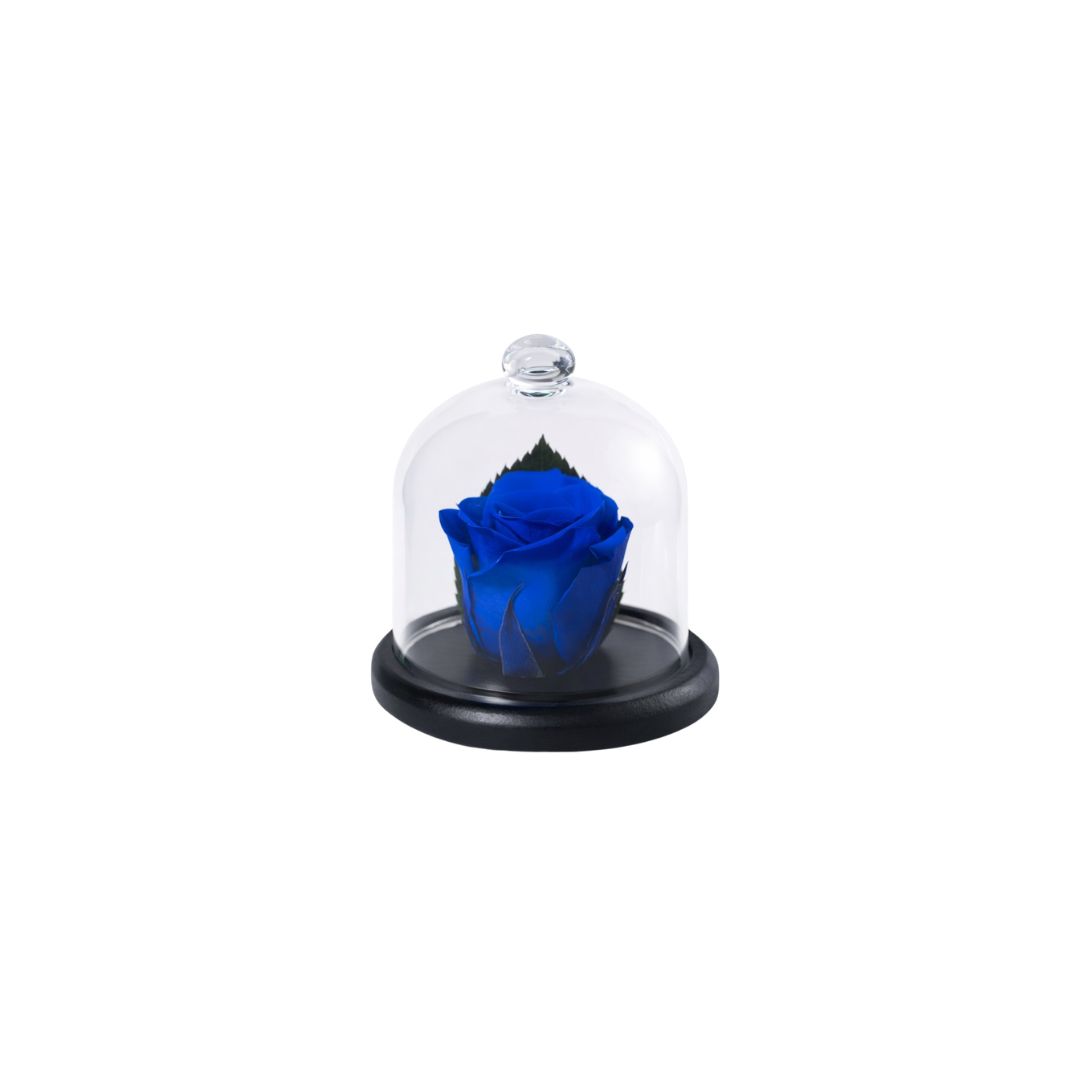 Forever roses δώρα - Verdant Garden & More - eShop