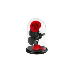 Forever roses δώρα - Verdant Garden & More - eShop