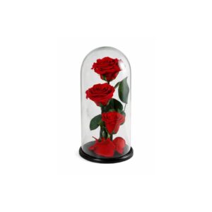 Forever roses δώρα - Verdant Garden & More - eShop