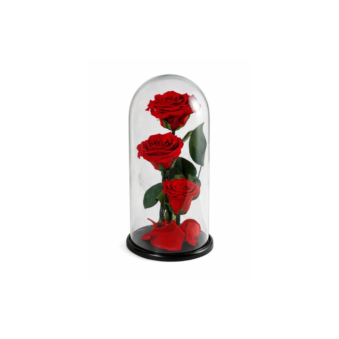 Forever roses δώρα - Verdant Garden & More - eShop