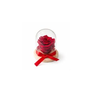 Forever roses δώρα - Verdant Garden & More - eShop