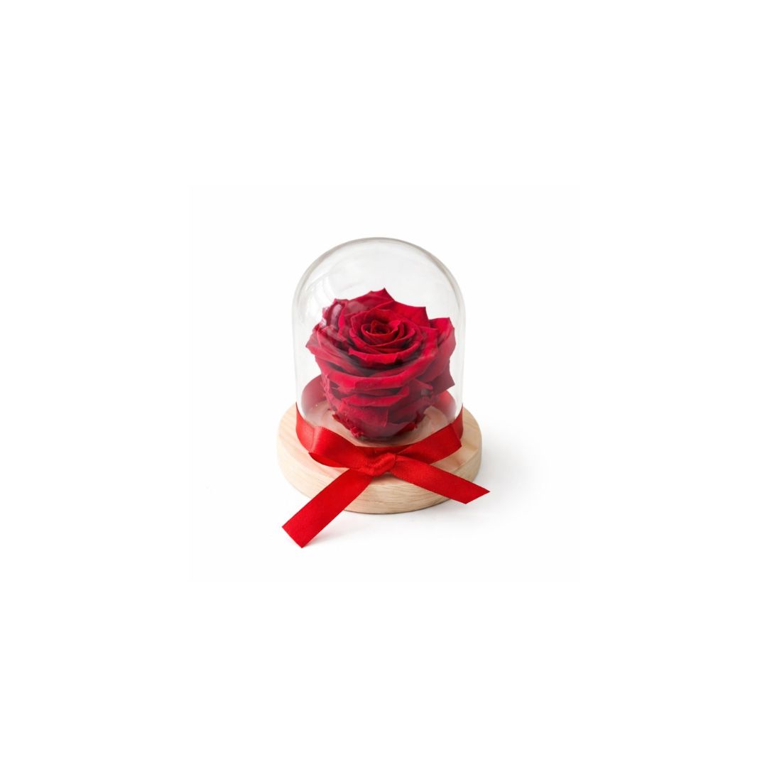 Forever roses δώρα - Verdant Garden & More - eShop