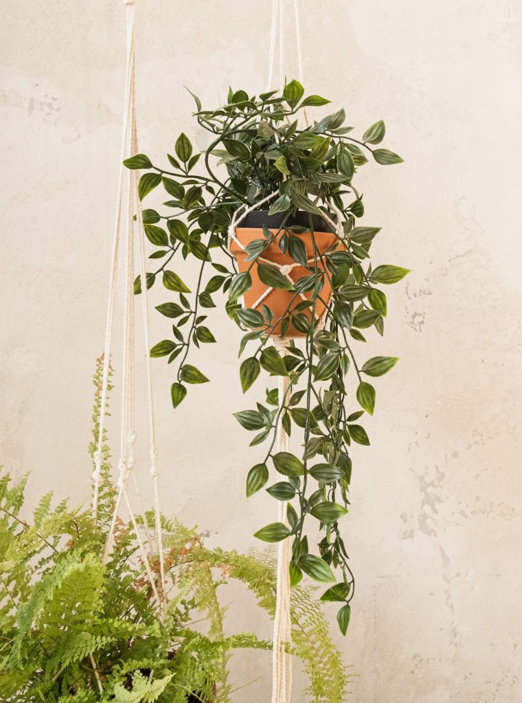 Verdant Garden & More